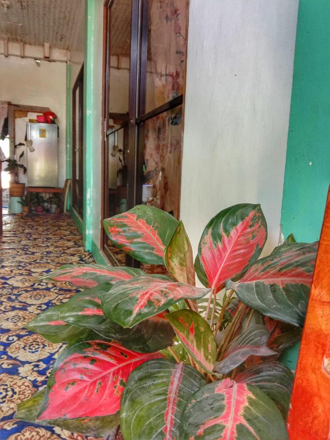 Abba Homestay Хенераль-Луна Екстер'єр фото